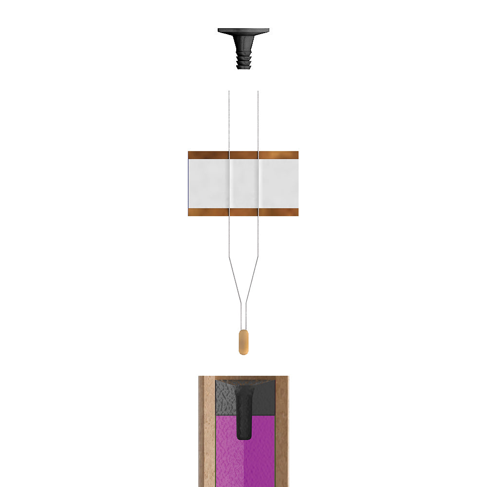 Igniter Plug for Large Rocket Engines - Assembly Diagram 